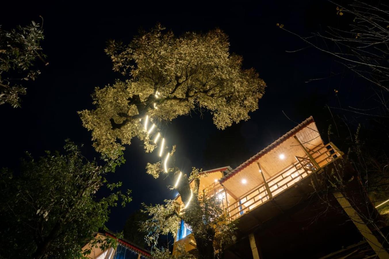 Into The Woods Treehouse Jibhi Villa ภายนอก รูปภาพ